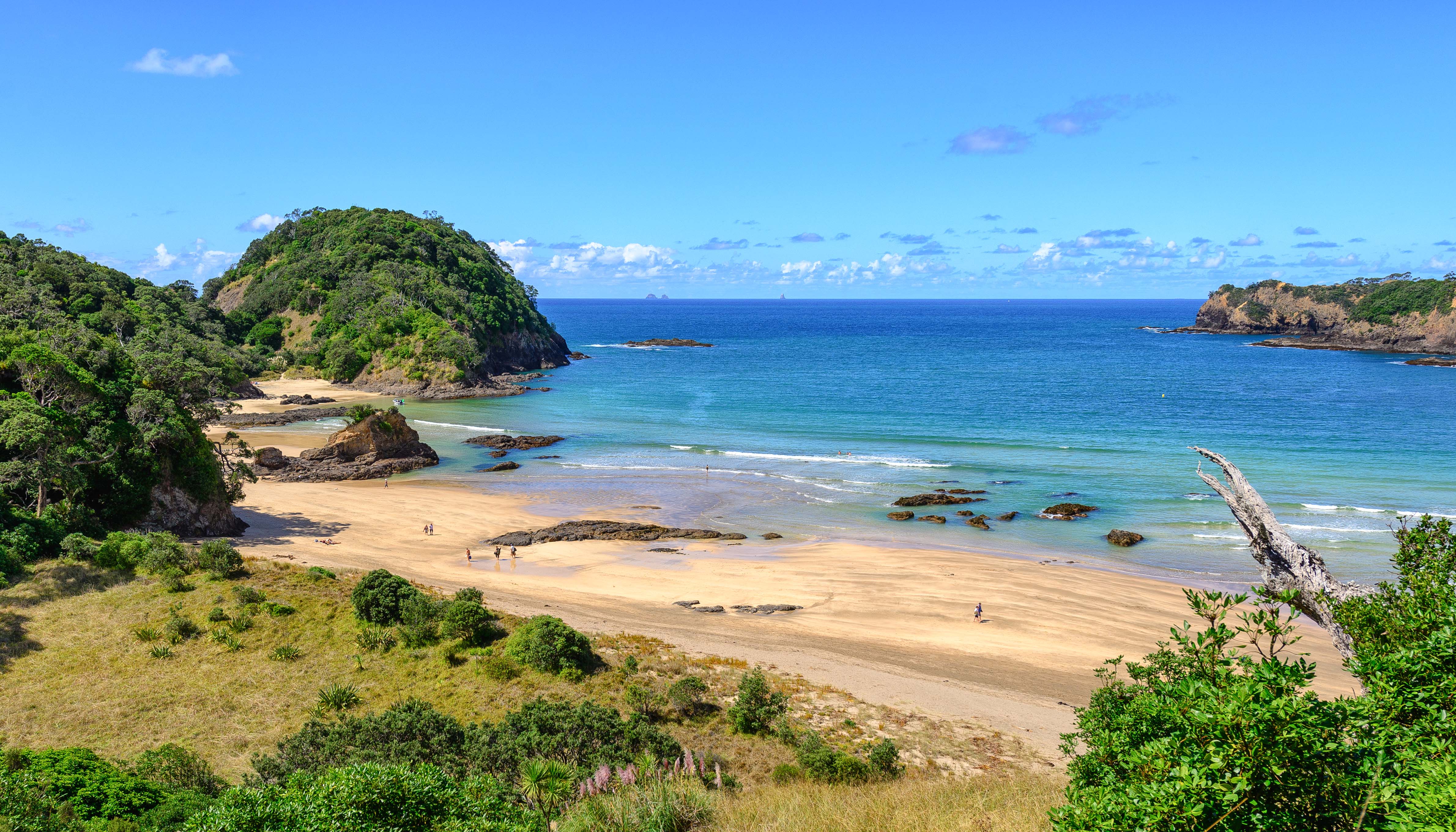 Matapouri Tutukaka Coast