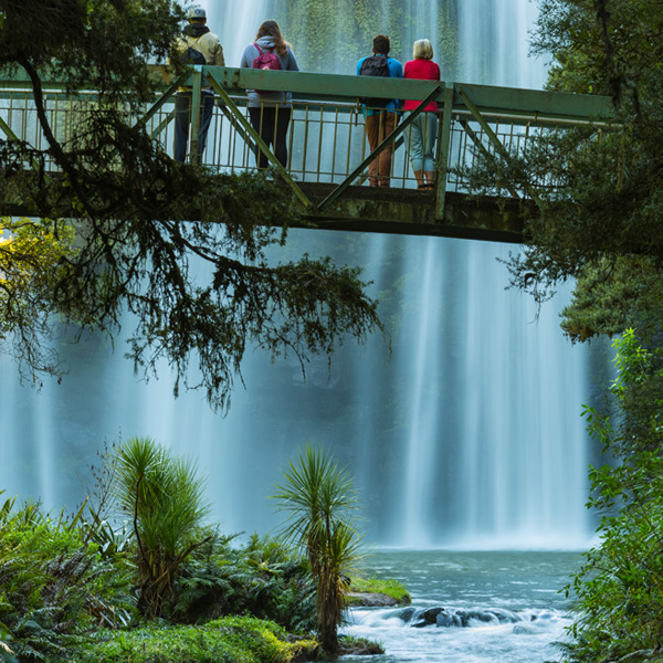 Otuihau Whangarei Falls