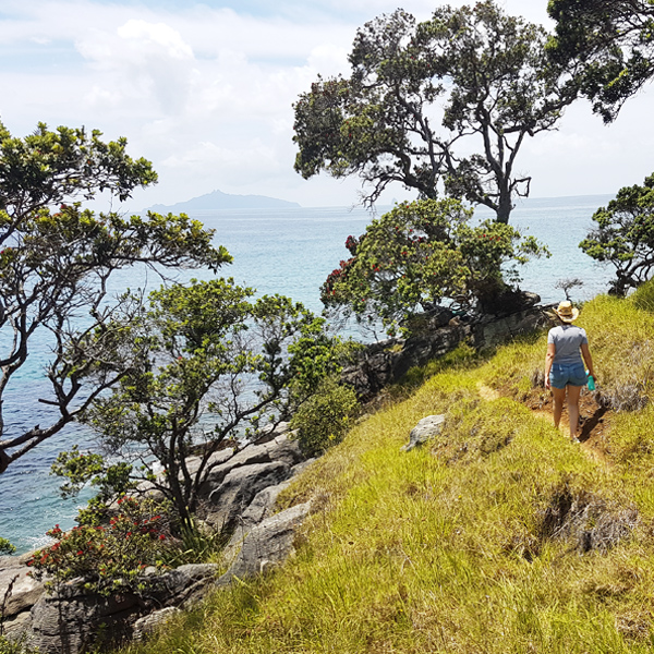 Waipu Coastal Walkway