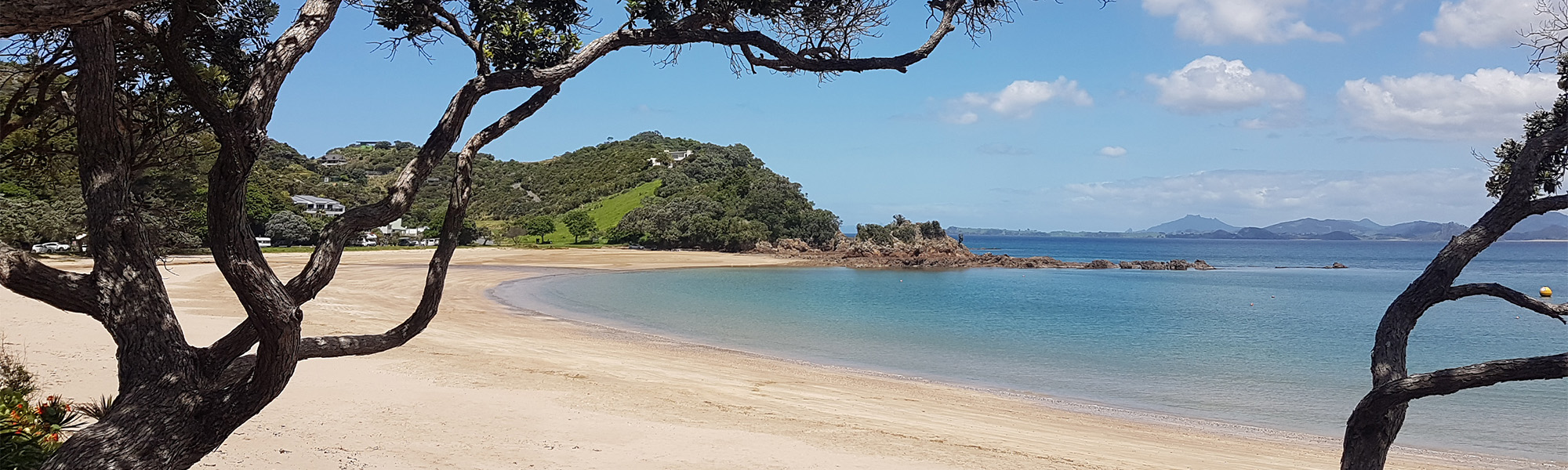 Deserted Whangaumu Bay during summer on a blue sky day