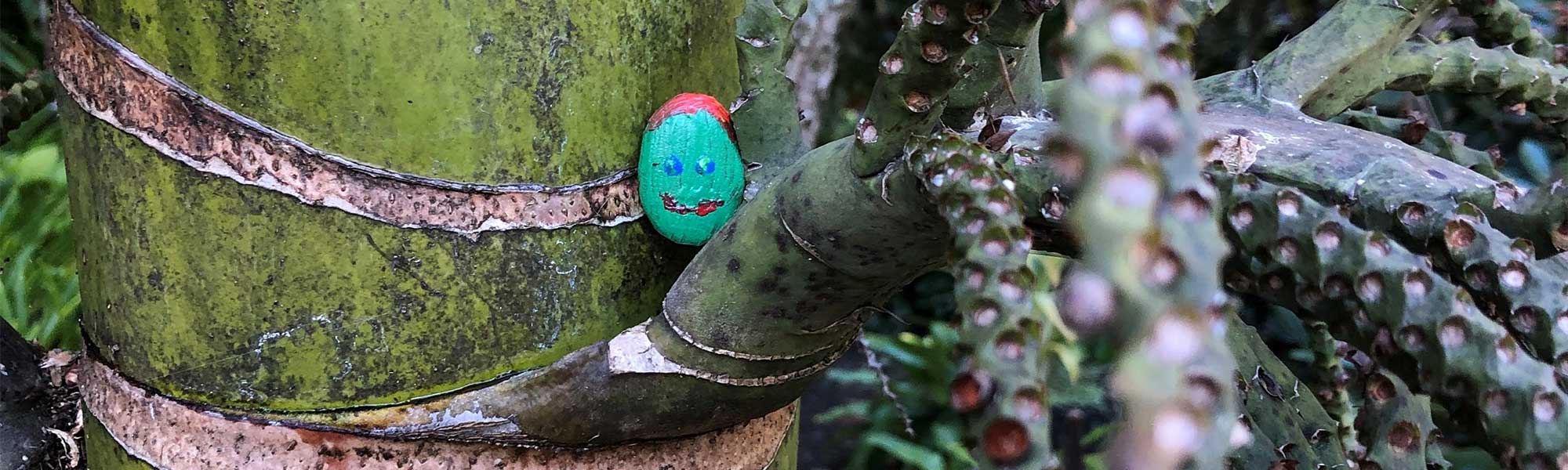 Painted rock in a tree at the Quarry Gardens