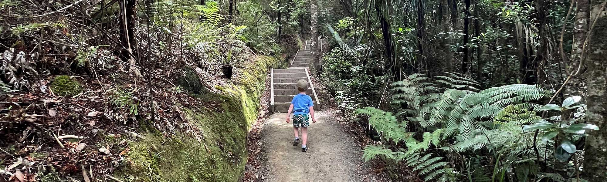 Child walking up Parihaka on track with stairs