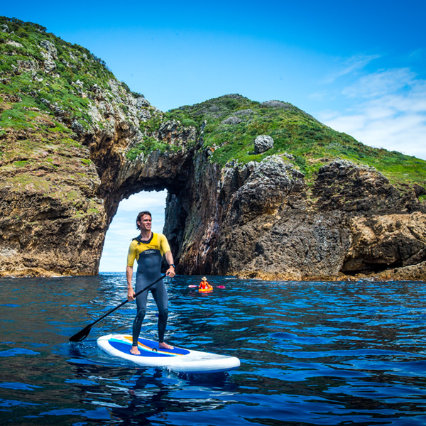 Poor Knights Islands Paddle Boarding