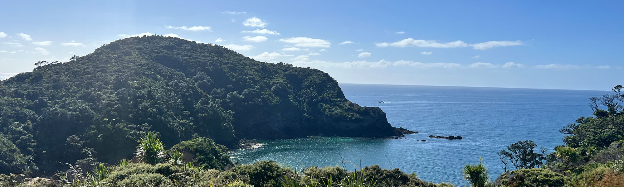 Tutukaka lighthouse walk overlooking island