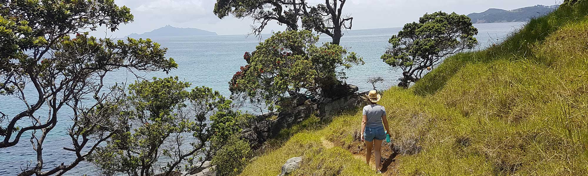 Walking the Waipu Cove Coastal Walkway