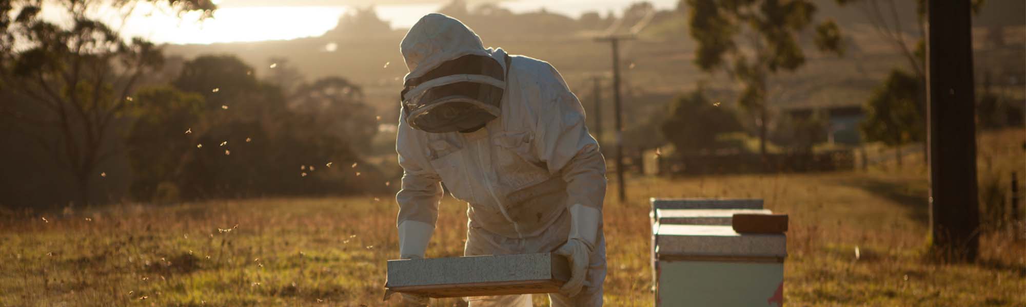 05.-Employment-and-recruitment-sites-beekeeper-image-header.jpg