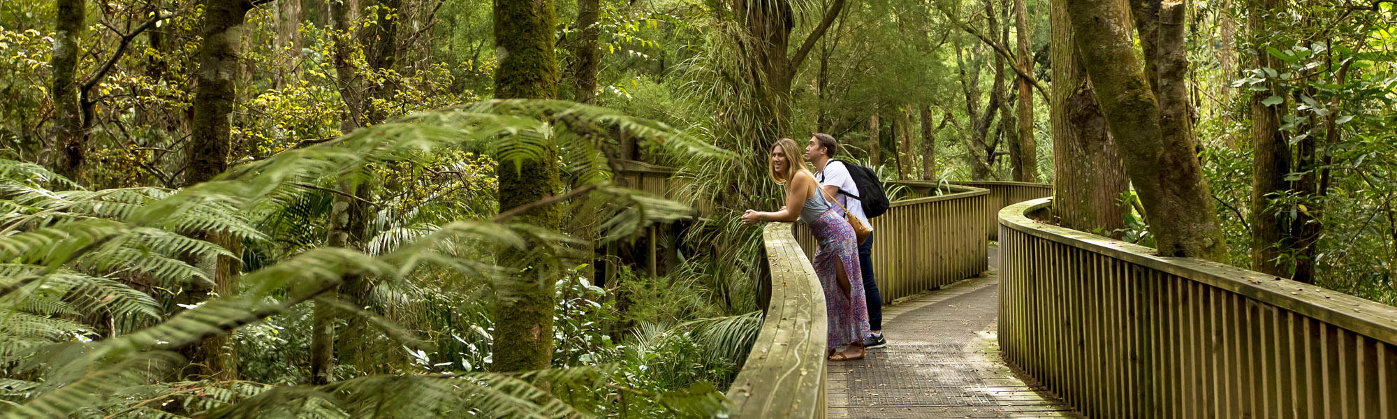 Discover-and-Explore-Content-page.-8-Walks-header.-AH-Reed-Memorial-Park.jpg