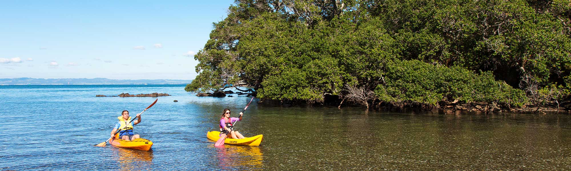 Two people kayaking in Whangarei Heads